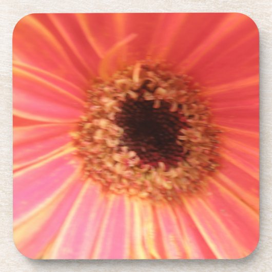 Gerbera Daisy Flower Cork Onderzetter (Voorkant)