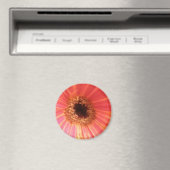 Gerbera Daisy Flower Magnet (Insitu (Vaatwasser))