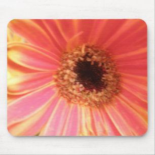 Gerbera Daisy Flower Mousepad Muismat