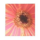 Gerbera Daisy Flower Notitieblok (Voorkant)