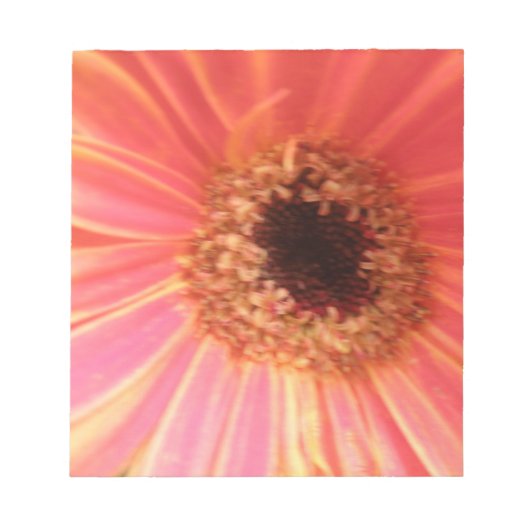 Gerbera Daisy Flower Notitieblok (Voorkant)