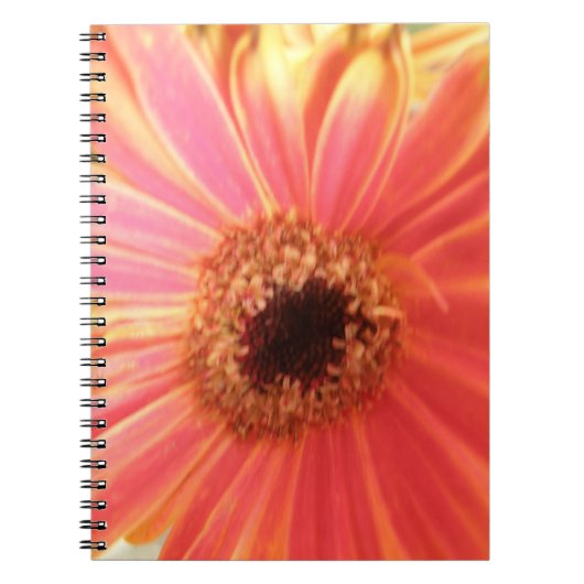 Gerbera Daisy Flower Notitieboek (Voorkant)