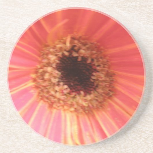 Gerbera Daisy Flower Onderzetters (Voorkant)