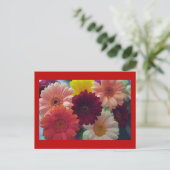 Gerbera Daisy Flower Photo Art Briefkaart (Staand voorkant)
