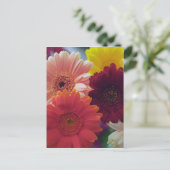 Gerbera Daisy Flower Photo Art Briefkaart (Staand voorkant)