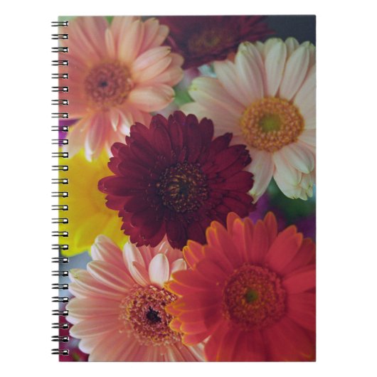 Gerbera Daisy Flower Photo Art Journal Notitieboek (Voorkant)