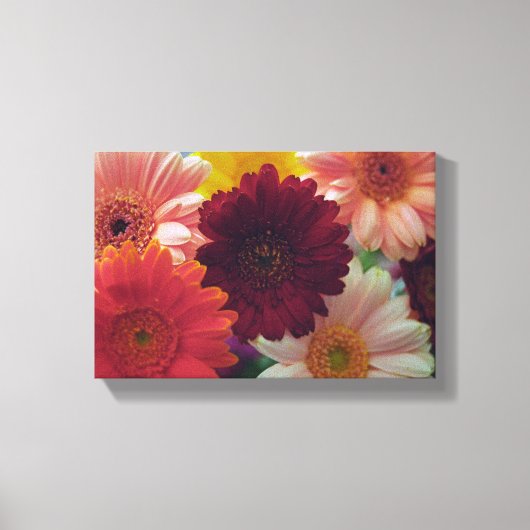 Gerbera Daisy Flower Photo Canvas Wall Art Afdruk (Voorkant)