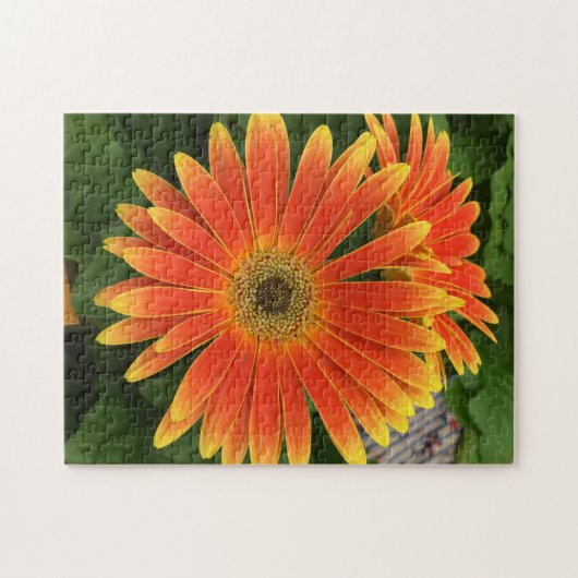 Gerbera Daisy Flower Puzzle Legpuzzel (Horizontaal)