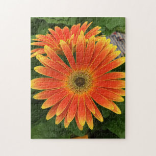 Gerbera Daisy Flower Puzzle Legpuzzel