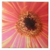 Gerbera Daisy Flower Tile Tegeltje (Voorkant)