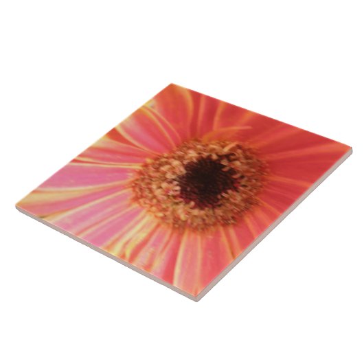 Gerbera Daisy Flower Tile Tegeltje (Zijkant)