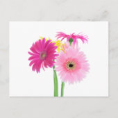 Gerbera Daisy Flowers Briefkaart (Voorkant)