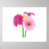 Gerbera Daisy Flowers Poster (Voorkant)