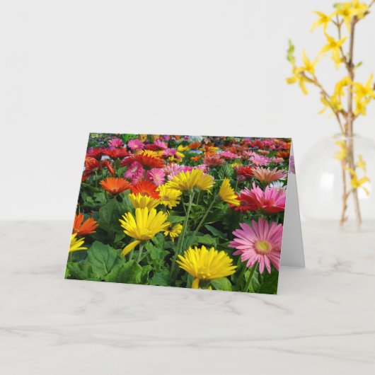 Gerbera Daisy Garden Birthday Kaart (Gele Bloem)