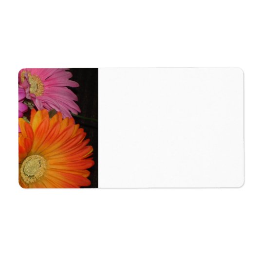 Gerbera Daisy Garden Etiket (Voorkant)