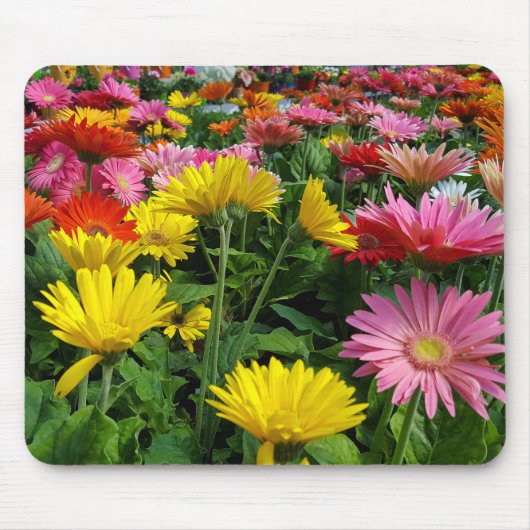 Gerbera Daisy Garden Muismat (Voorkant)