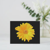 Gerbera Daisy (Gerbera hybrida) - Geel Briefkaart (Staand voorkant)
