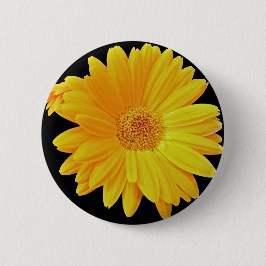 Gerbera Daisy (Gerbera hybrida) - Geel Ronde Button 5,7 Cm (Voorkant)