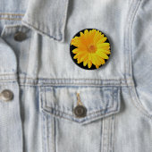 Gerbera Daisy (Gerbera hybrida) - Geel Ronde Button 5,7 Cm (In situ)