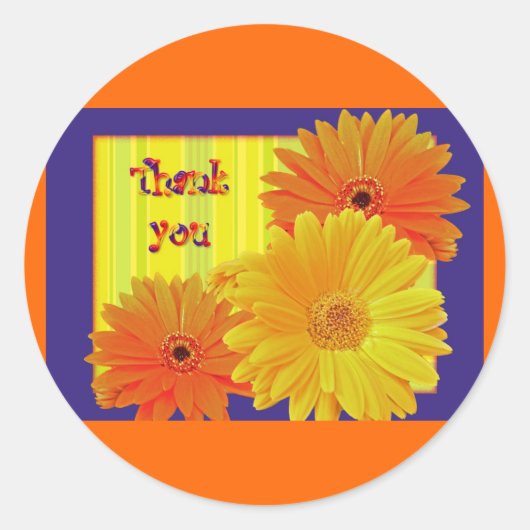 Gerbera Daisy (Gerbera hybrida) - Geel Ronde Sticker (Voorkant)