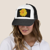 Gerbera Daisy (Gerbera hybrida) - Geel Trucker Pet (In situ)