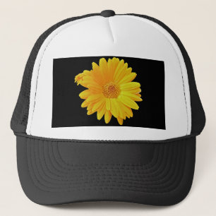Gerbera Daisy (Gerbera hybrida) - Geel Trucker Pet