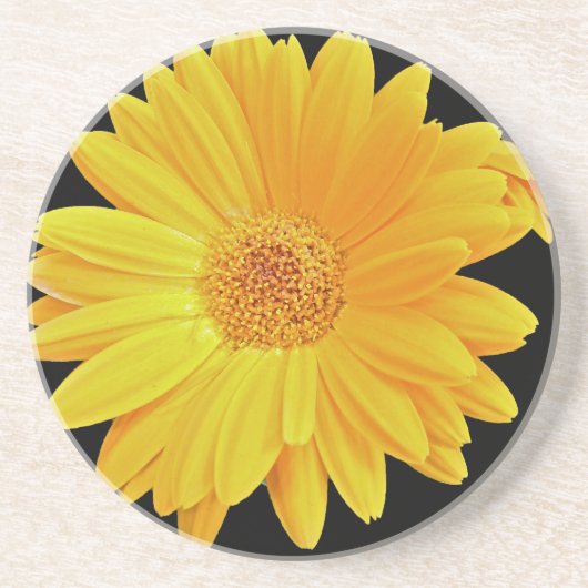 Gerbera Daisy (Gerbera hybrida) - Geel Zandsteen Onderzetter (Voorkant)