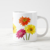 Gerbera Daisy Grote Koffiekop (Rechts)