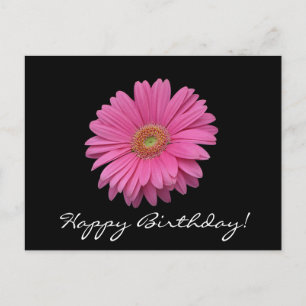 Gerbera Daisy Happy Birthday Briefkaart
