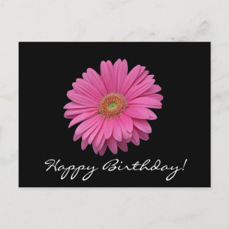Gerbera Daisy Happy Birthday Briefkaart