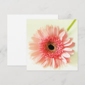 Gerbera Daisy Kaart (Voorkant / Achterkant)