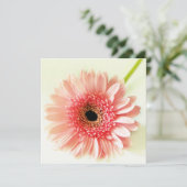 Gerbera Daisy Kaart (Staand voorkant)