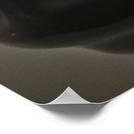 Gerbera Daisy laten vallen in vaas Poster (Hoek)