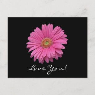 Gerbera Daisy Love You Briefkaart
