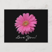 Gerbera Daisy Love You Briefkaart (Voorkant)