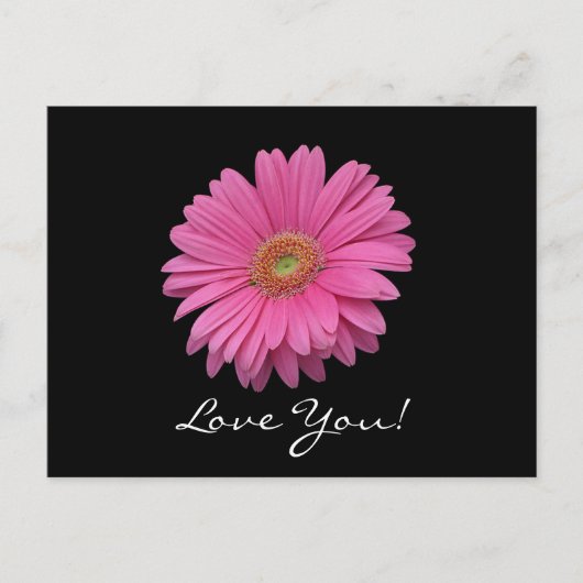Gerbera Daisy Love You Briefkaart (Voorkant)