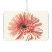 Gerbera Daisy Luchtverfrisser (Achterkant)