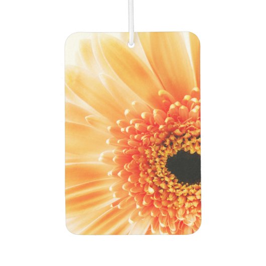 Gerbera Daisy Luchtverfrisser (Voorkant)