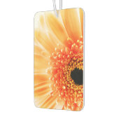 Gerbera Daisy Luchtverfrisser (Links)
