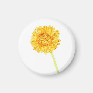 Gerbera daisy magneet