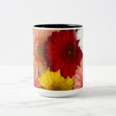 Gerbera Daisy Mok met Alle kleuren van bloemen (Center)