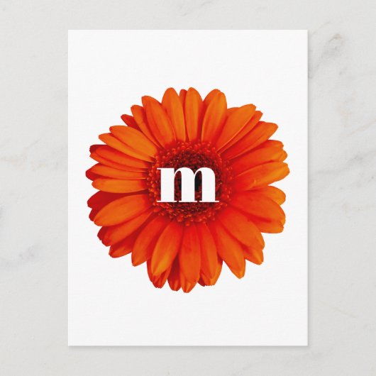 Gerbera Daisy Monogram Initiaal Briefkaart (Voorkant)