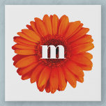Gerbera Daisy Monogram Initiaal Imitatie Canvas Print<br><div class="desc">Verbrand oranje gerbera daisy flower met een modern initiaal voor de typografie van het lagere hoesje. Verander het initiaal om te personaliseren.</div>
