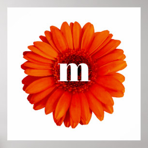 Gerbera Daisy Monogram Initiaal Poster