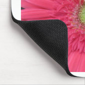 Gerbera Daisy Muismat (Hoek)