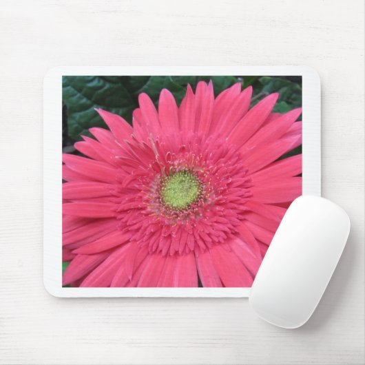 Gerbera Daisy Muismat (Met muis)