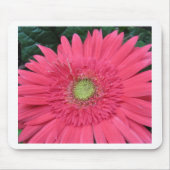 Gerbera Daisy Muismat (Voorkant)