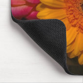 Gerbera Daisy Muismat (Hoek)