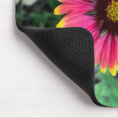 Gerbera Daisy Muismat (Hoek)