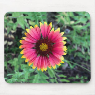 Gerbera Daisy Muismat